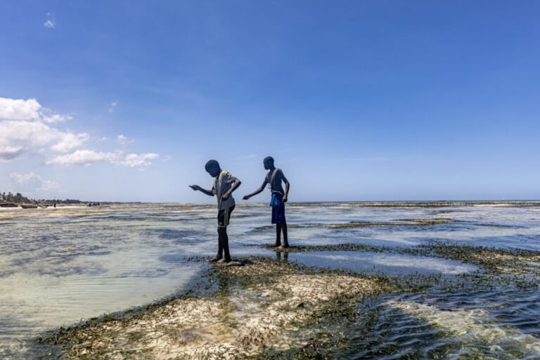 5 September - 10 October 2025 by Exhibition Echoes of the Ordinary, exhibited at Aurea Photo Gallery.