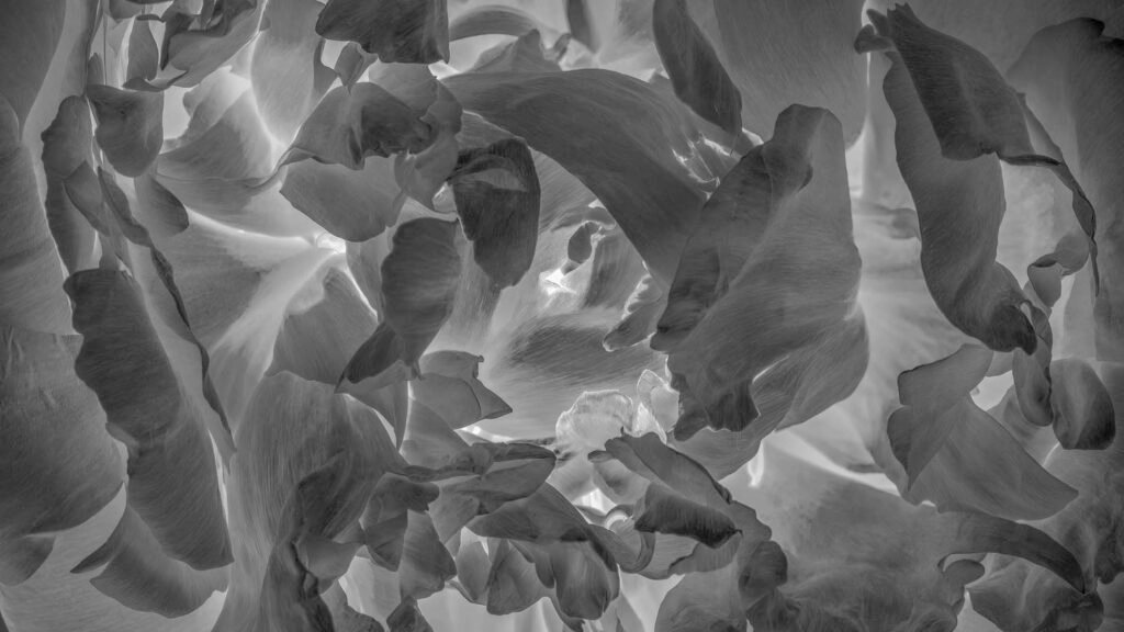 Inner World, 2022. by Andy Ilachinski, exhibited at Aurea Photo Gallery.