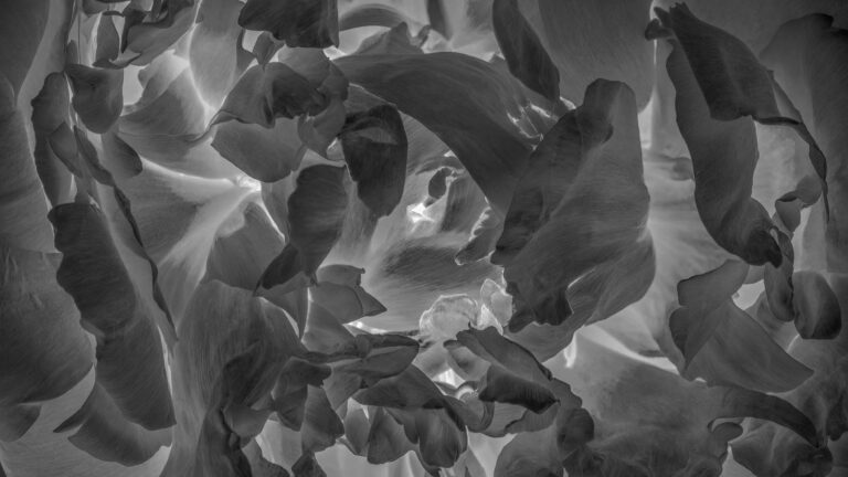 Inner World, 2022. by Andy Ilachinski, exhibited at Aurea Photo Gallery.