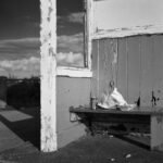 Shelter with Food, 2022. by Dan Bass, exhibited at Aurea Photo Gallery.