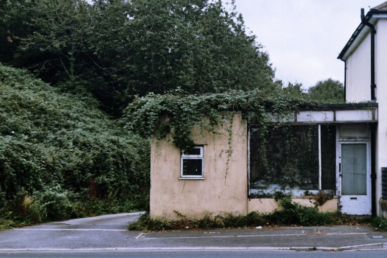 Nature’s Reclamation, 2025. by Ellie Goodliffe, exhibited at Aurea Photo Gallery.