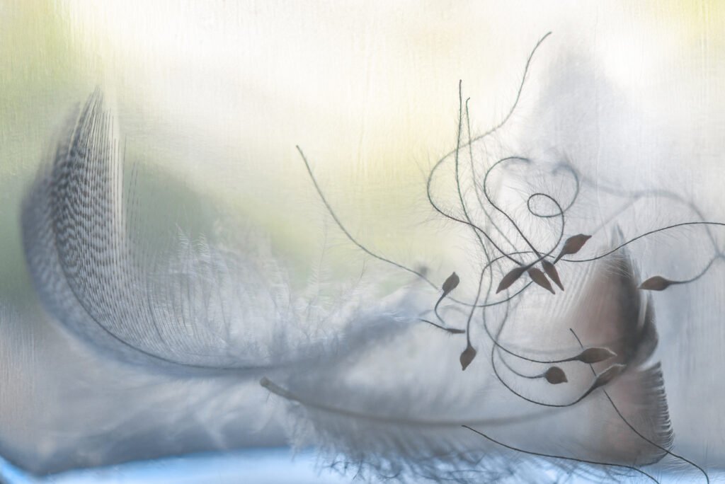 Unwinding, 2024. by Judie Waldmann, exhibited at Aurea Photo Gallery.