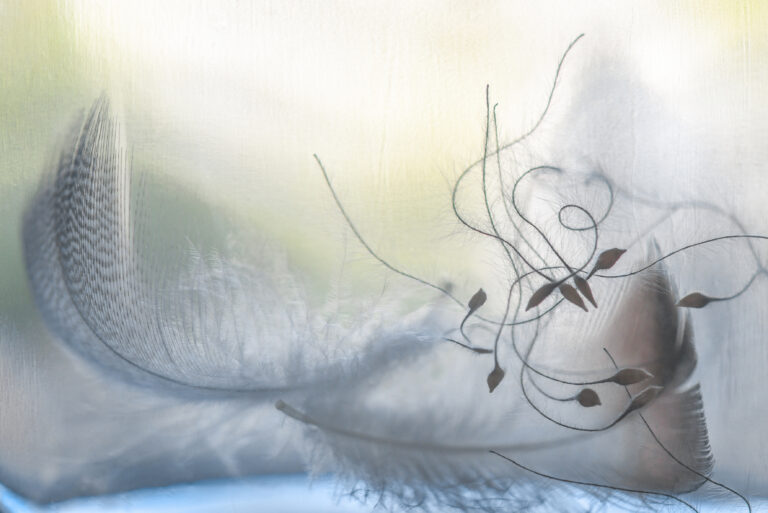 Unwinding, 2024. by Judie Waldmann, exhibited at Aurea Photo Gallery.