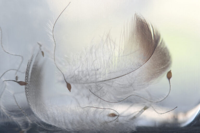 Unwound, 2024. by Judie Waldmann, exhibited at Aurea Photo Gallery.