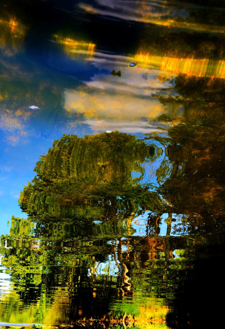Ondes d’or, 2025. by Sophie Passard, exhibited at Aurea Photo Gallery.