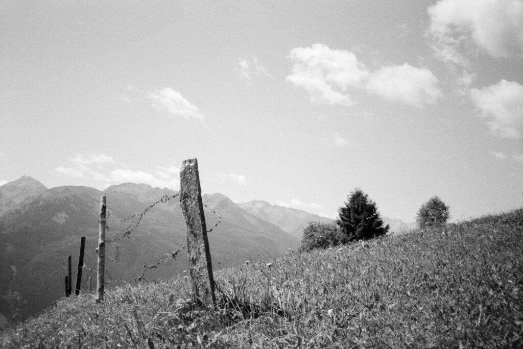 Fence, 2025. by Helen Hines, exhibited at Aurea Photo Gallery.