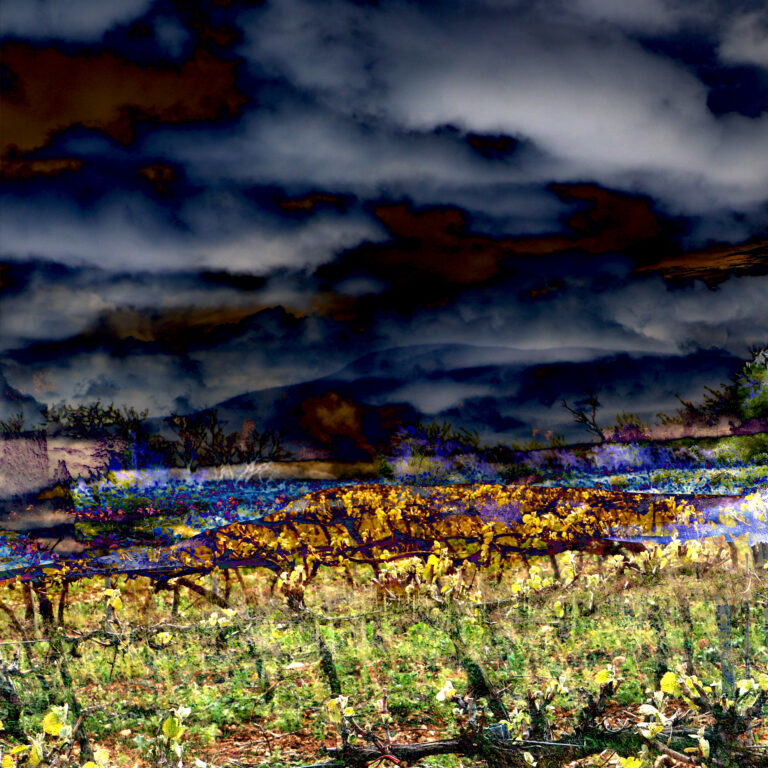 Alaric, 2025. by Colin Wright, exhibited at Aurea Photo Gallery.