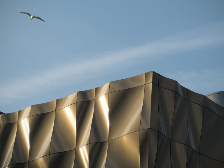 High Flyer at the Quay Club, 2022. by Rob Wilkinson, exhibited at Aurea Photo Gallery.