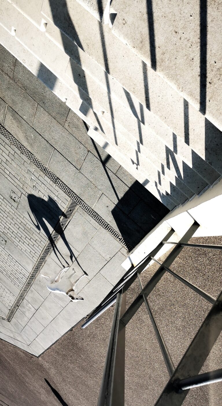 Skulldoggery 2022. by amanda F woodhead, exhibited at Aurea Photo Gallery.