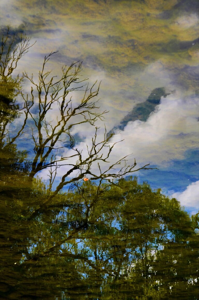 Mosaïque Histoire de la rivière 1, 2025, Digital photograph, 20×30 cm by Sophie Passard, exhibited at Aurea Photo Gallery.