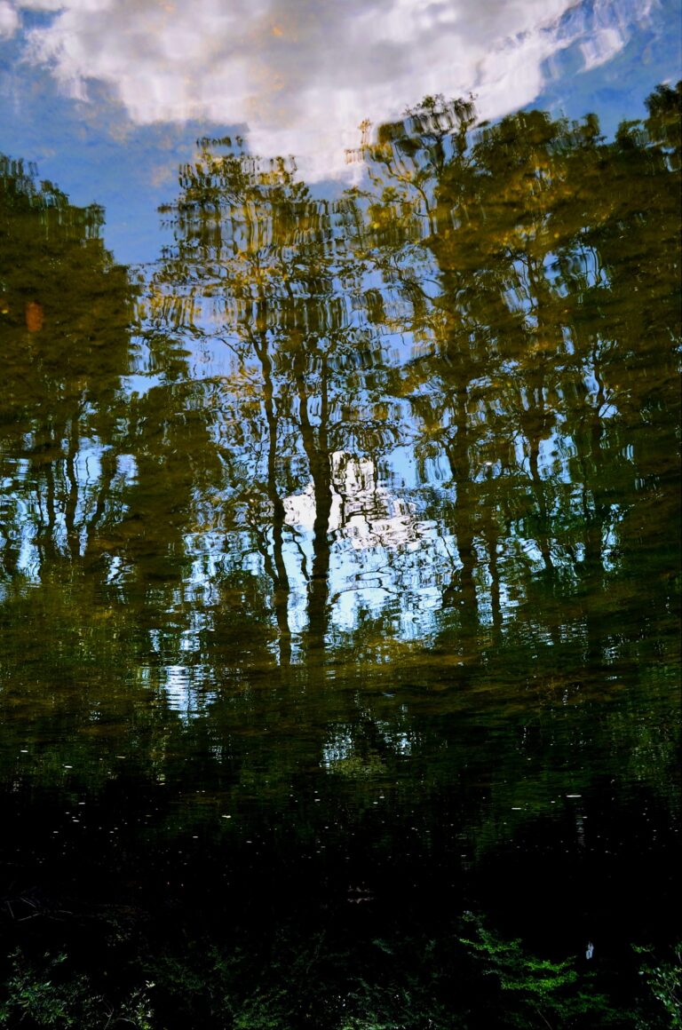 Mosaïque Histoire de la rivière 3, 2025, Digital photograph, 20×30 cm by Sophie Passard, exhibited at Aurea Photo Gallery.