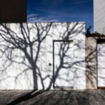 Organic Overlay, 2024. by José María Ruiz Luengo, exhibited at Aurea Photo Gallery.