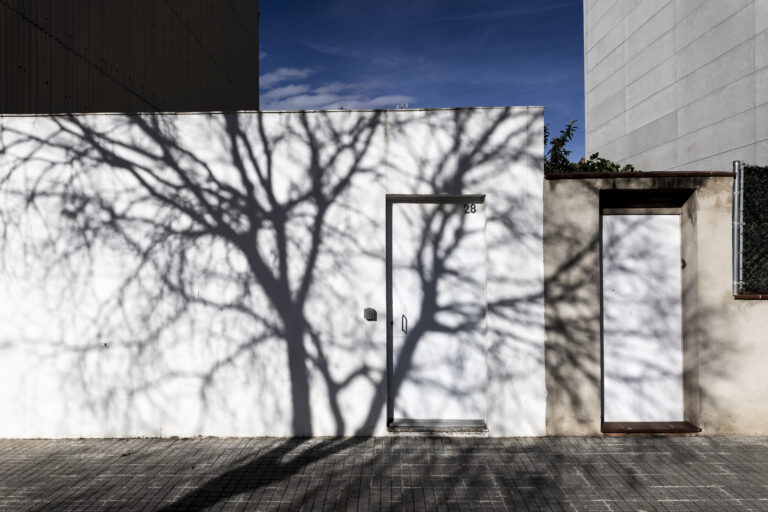 Organic Overlay, 2024. by José María Ruiz Luengo, exhibited at Aurea Photo Gallery.