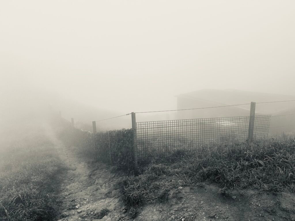 Detour to Otherness, 2024. by Savva Locci, exhibited at Aurea Photo Gallery.