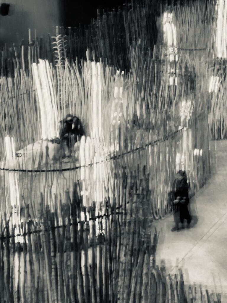 Memory and Desire, 2025. by Savva Locci, exhibited at Aurea Photo Gallery.