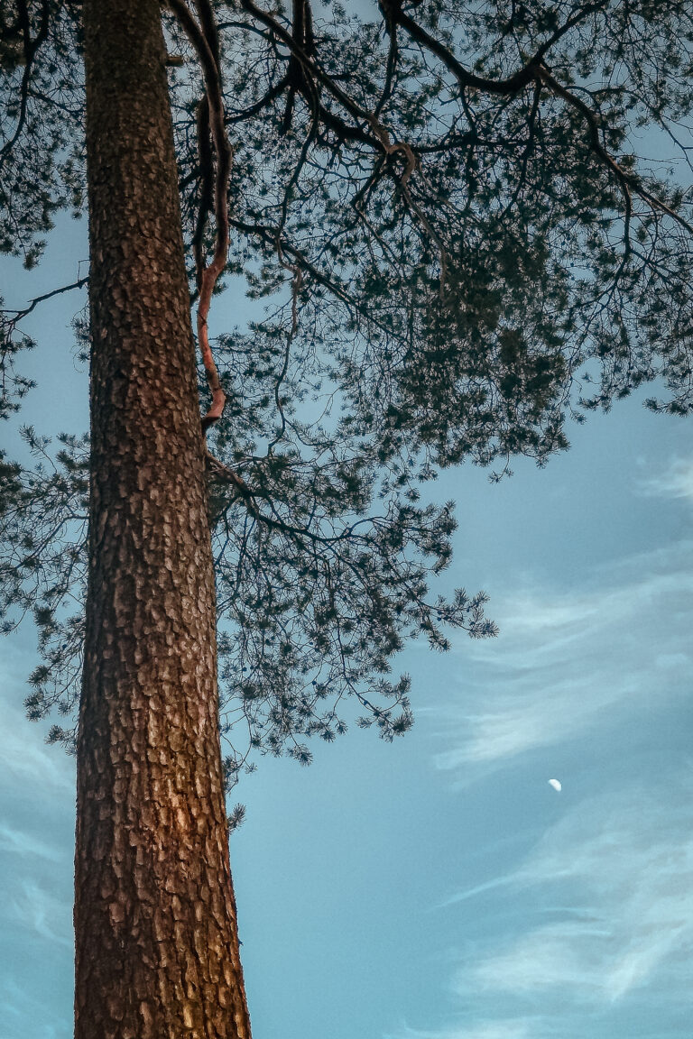 A Soft Sky, 2019. by Trisha Lahiri, exhibited at Aurea Photo Gallery.