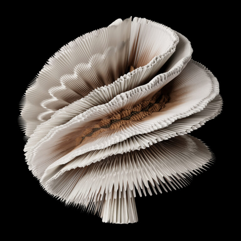 Schizophyllum Commune, 2020. by Charly Meyer, exhibited at Aurea Photo Gallery.