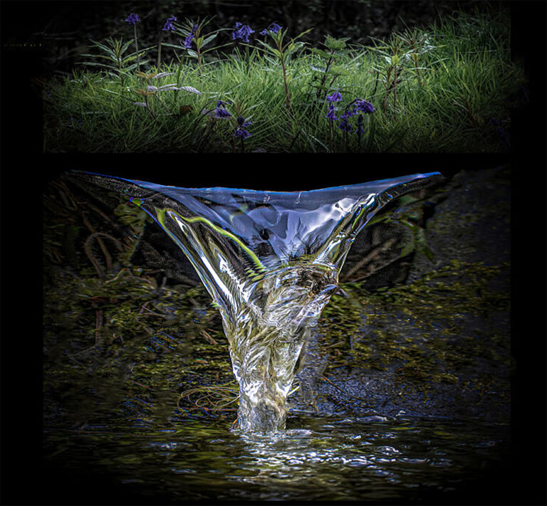 Austin Spring. by Richard Murrin, exhibited at Aurea Photo Gallery.