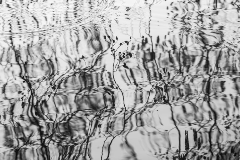 Reflecting Pool, 2026. by Hunter Paul, exhibited at Aurea Photo Gallery.