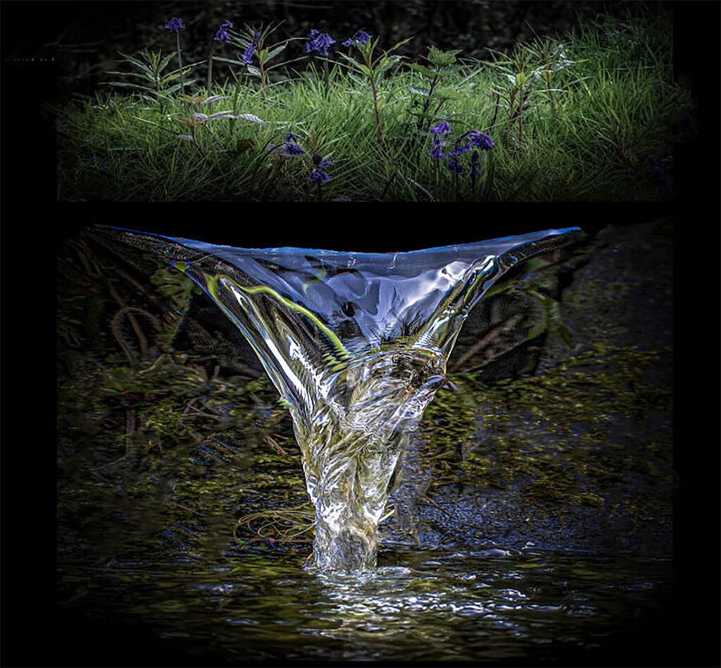 Austin Spring. by Richard Murrin, exhibited at Aurea Photo Gallery.