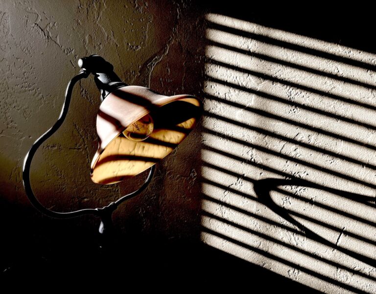 Burden's Lamp Shadows, 2024. by Karen Safer, exhibited at Aurea Photo Gallery.