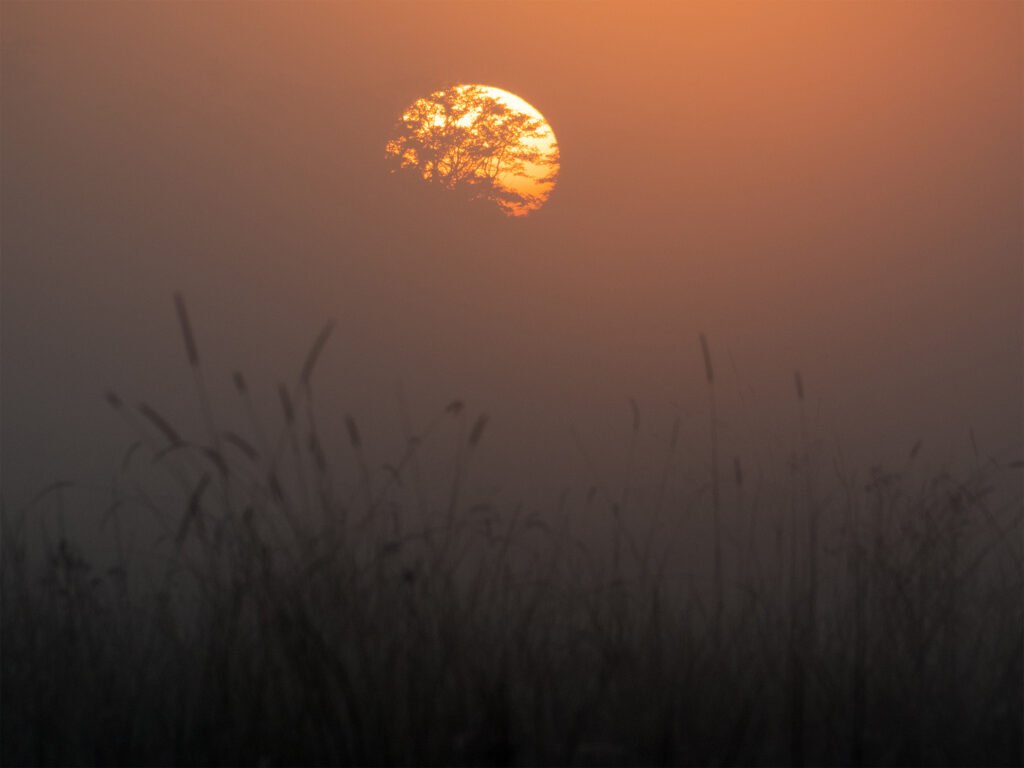 Okavango Sunrise, 2025. by Rob Wilkinson, exhibited at Aurea Photo Gallery.
