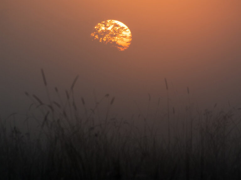 Okavango Sunrise, 2025. by Rob Wilkinson, exhibited at Aurea Photo Gallery.