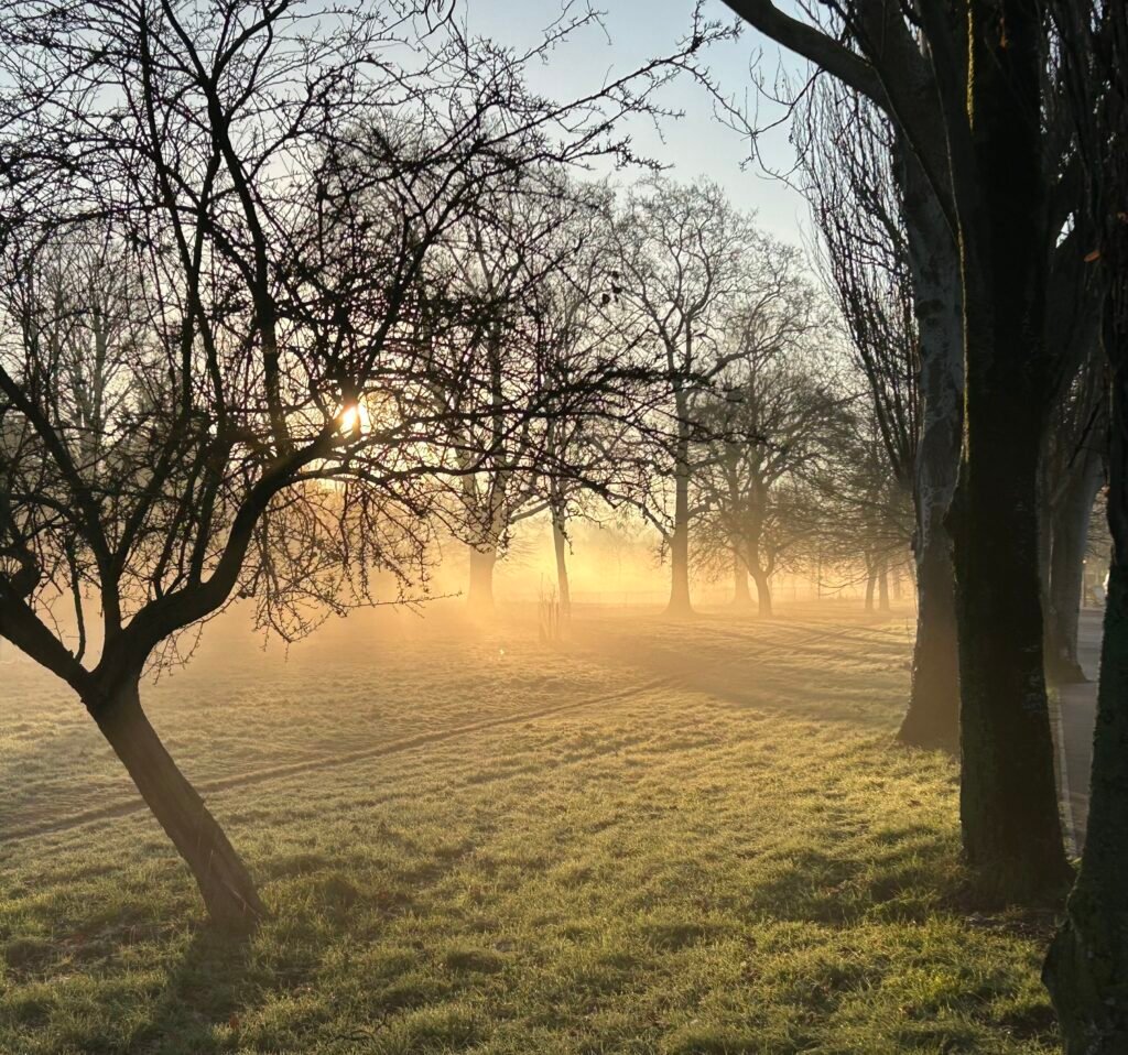 Peckham Rye Park Sunrise, 2026. by Alec Leggat, exhibited at Aurea Photo Gallery.