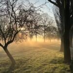 Peckham Rye Park Sunrise, 2026. by Alec Leggat, exhibited at Aurea Photo Gallery.