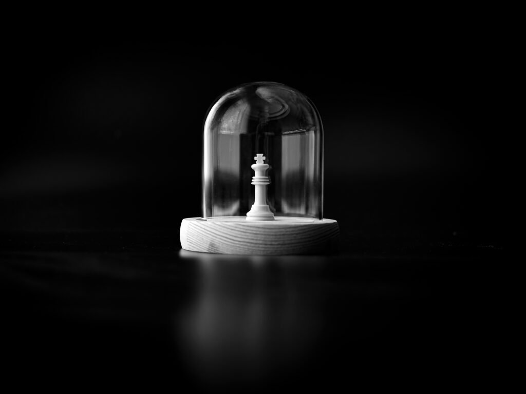 The Protected One, 2026. by Byc.foto, exhibited at Aurea Photo Gallery.