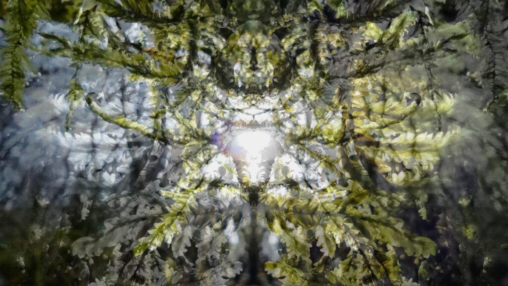 Gaia, 2024. by Adele, exhibited at Aurea Photo Gallery.