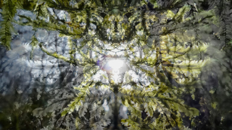 Gaia, 2024. by Adele, exhibited at Aurea Photo Gallery.