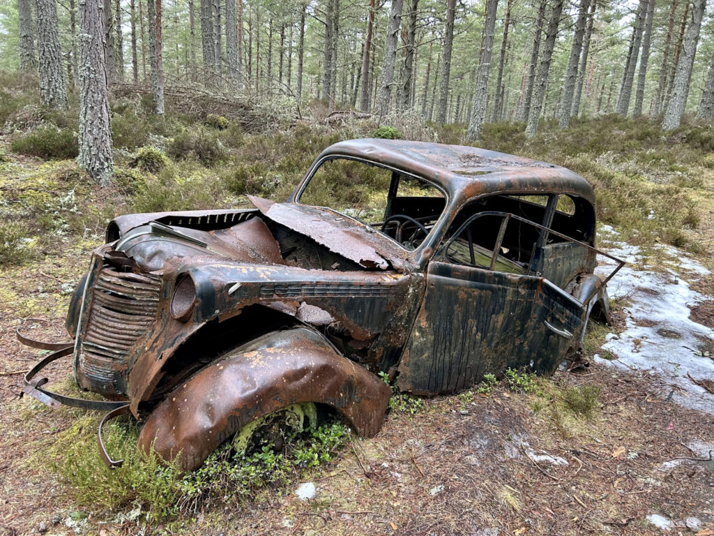 Rust never sleeps, 2026. by Ian Storrar, exhibited at Aurea Photo Gallery.