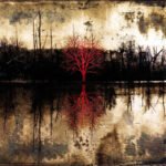 L'Arbre Pourpre. by Antoine Marelle, exhibited at Aurea Photo Gallery.