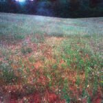 landscape 2. by Laurent Loubet Guiter, exhibited at Aurea Photo Gallery.