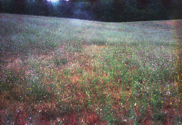 landscape 2. by Laurent Loubet Guiter, exhibited at Aurea Photo Gallery.