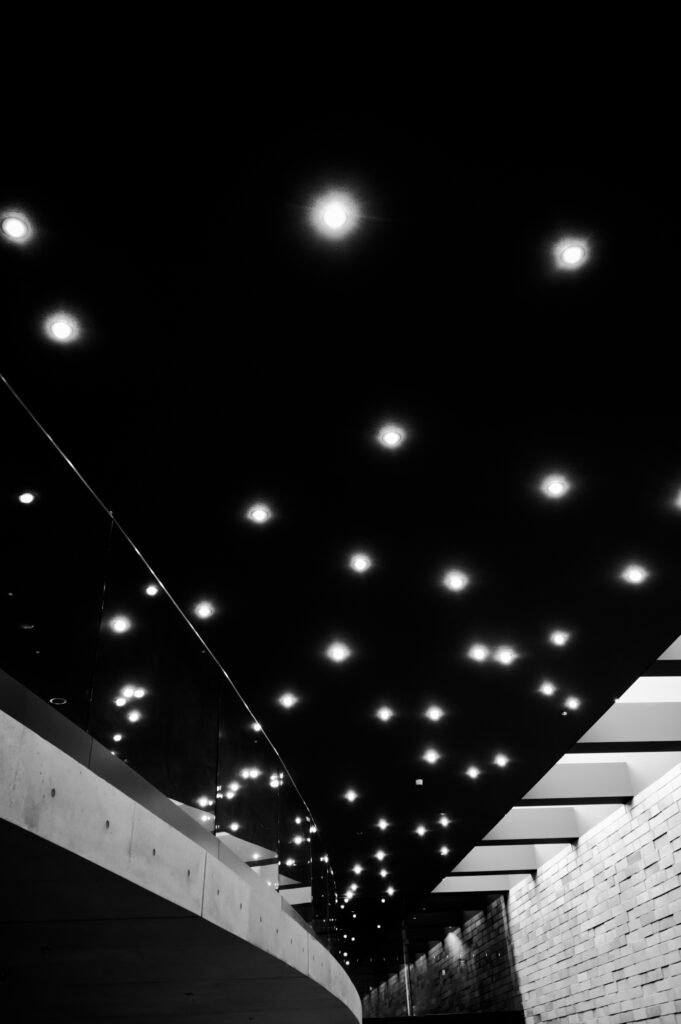 Venus, 2026. by Nishi Fumiko, exhibited at Aurea Photo Gallery.