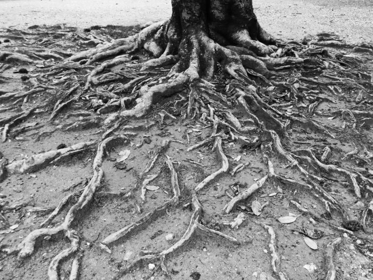 Attachment, 2026. by Sara Livrieri, exhibited at Aurea Photo Gallery.