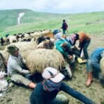 Borderland Pastures, Kurdish Colors by Dilan Okcuoglu, exhibited at Aurea Photo Gallery.