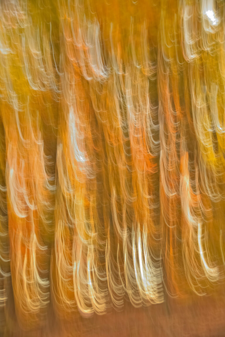 Abstract, 2021. by Sastry Karra, exhibited at Aurea Photo Gallery.