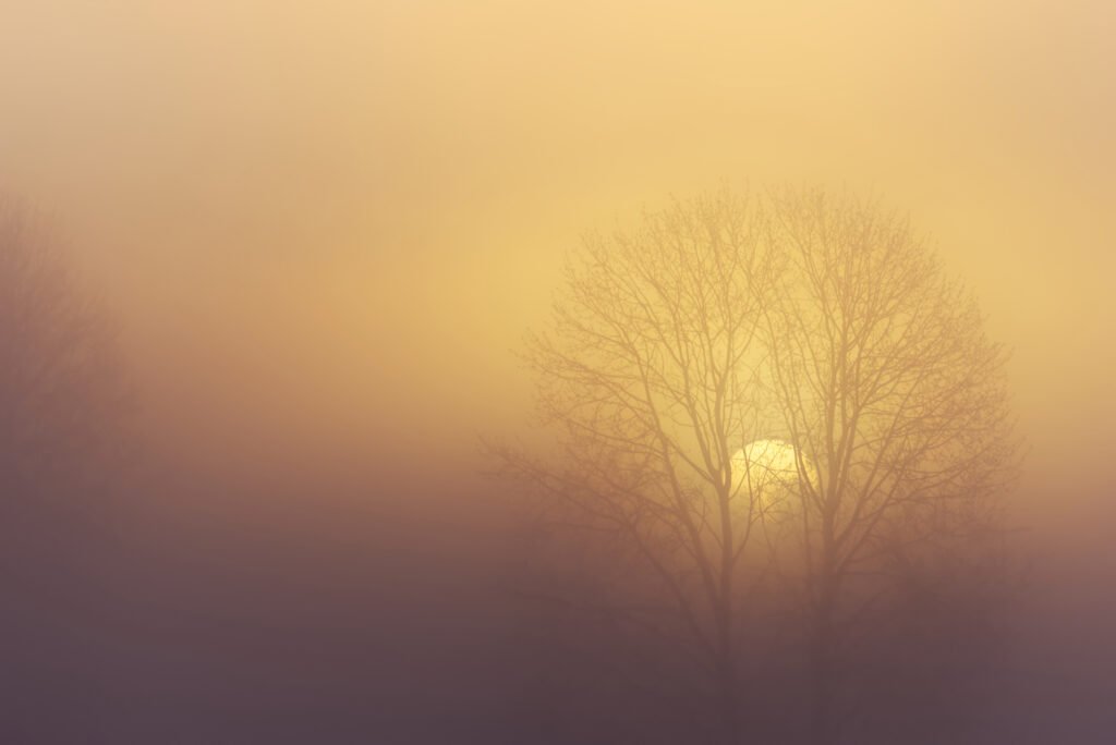 Sunrise on a misty morning, 2026. by Vivek Vaishnavi, exhibited at Aurea Photo Gallery.