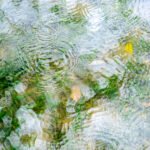 Spring Waters, 2026. by Naoyukiy, exhibited at Aurea Photo Gallery.