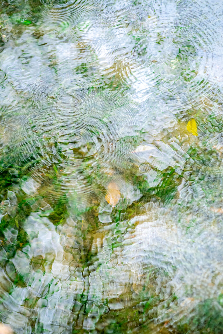 Spring Waters, 2026. by Naoyukiy, exhibited at Aurea Photo Gallery.