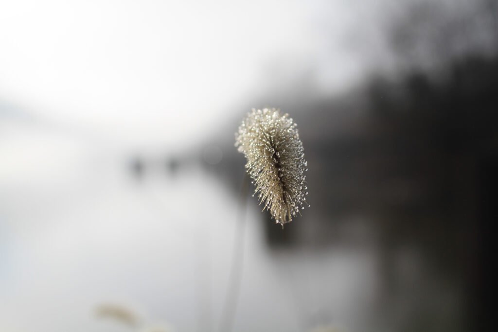 Clair Obscure, 2019. by Aart Balk, exhibited at Aurea Photo Gallery.