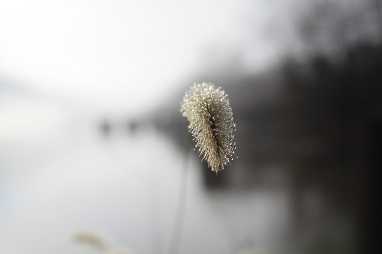 Clair Obscure, 2019. by Aart Balk, exhibited at Aurea Photo Gallery.