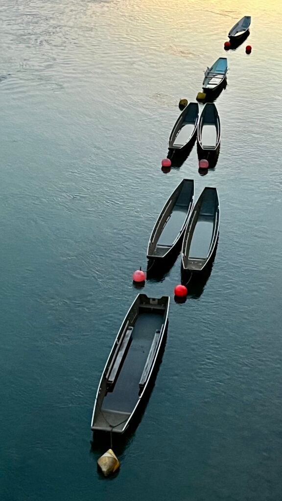 On the Rhine, 2023. by Brigitte B Burckhardt, exhibited at Aurea Photo Gallery.
