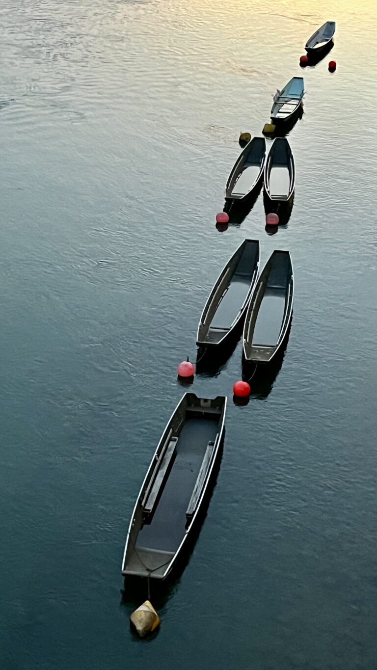 On the Rhine, 2023. by Brigitte B Burckhardt, exhibited at Aurea Photo Gallery.