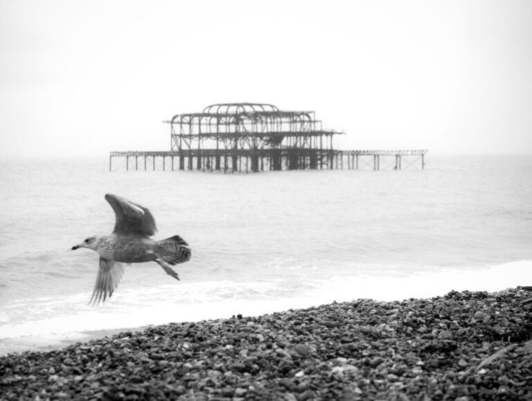 Leaving it all behind, January 2026. by Rob Wilkinson, exhibited at Aurea Photo Gallery.