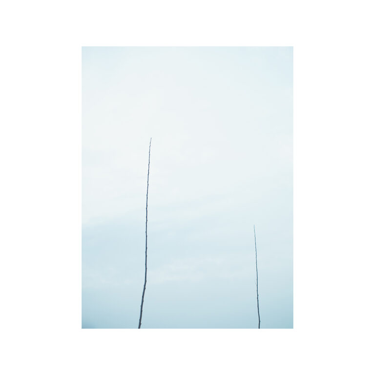 Untitled_#2. by Diego Chiarlo, exhibited at Aurea Photo Gallery.