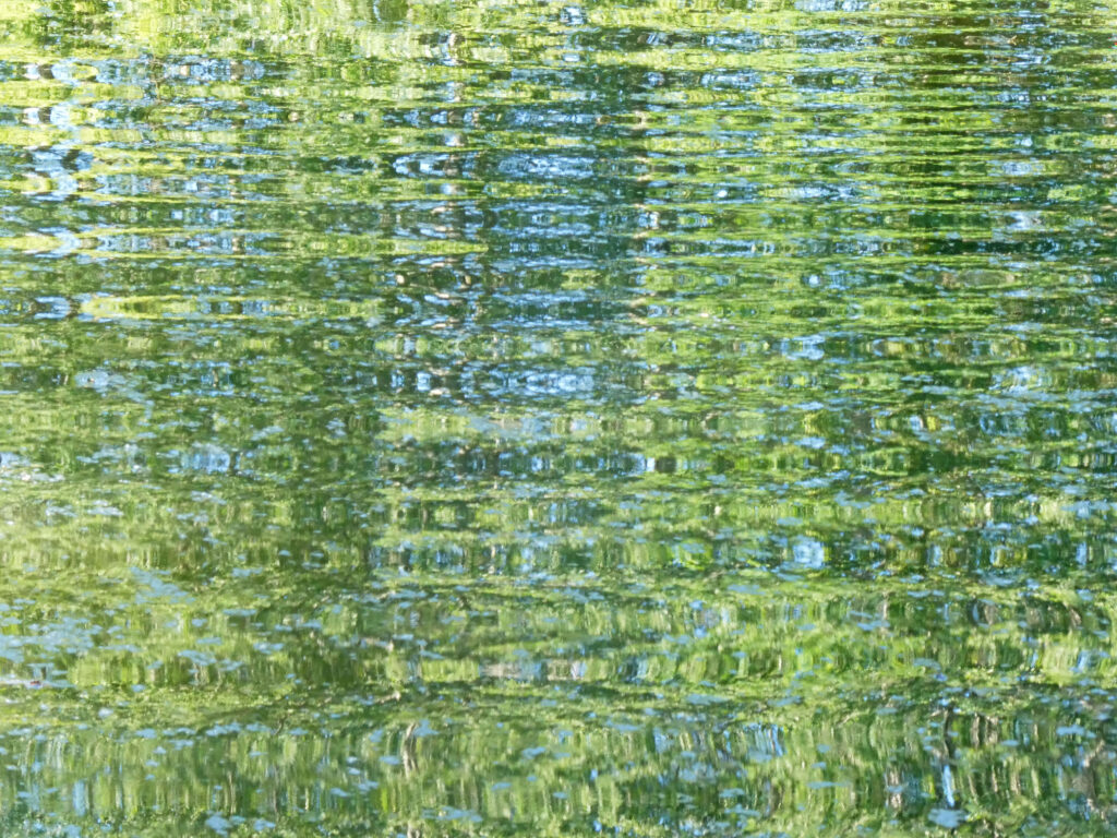 Water Vibes, 2026. by Sara Livrieri, exhibited at Aurea Photo Gallery.